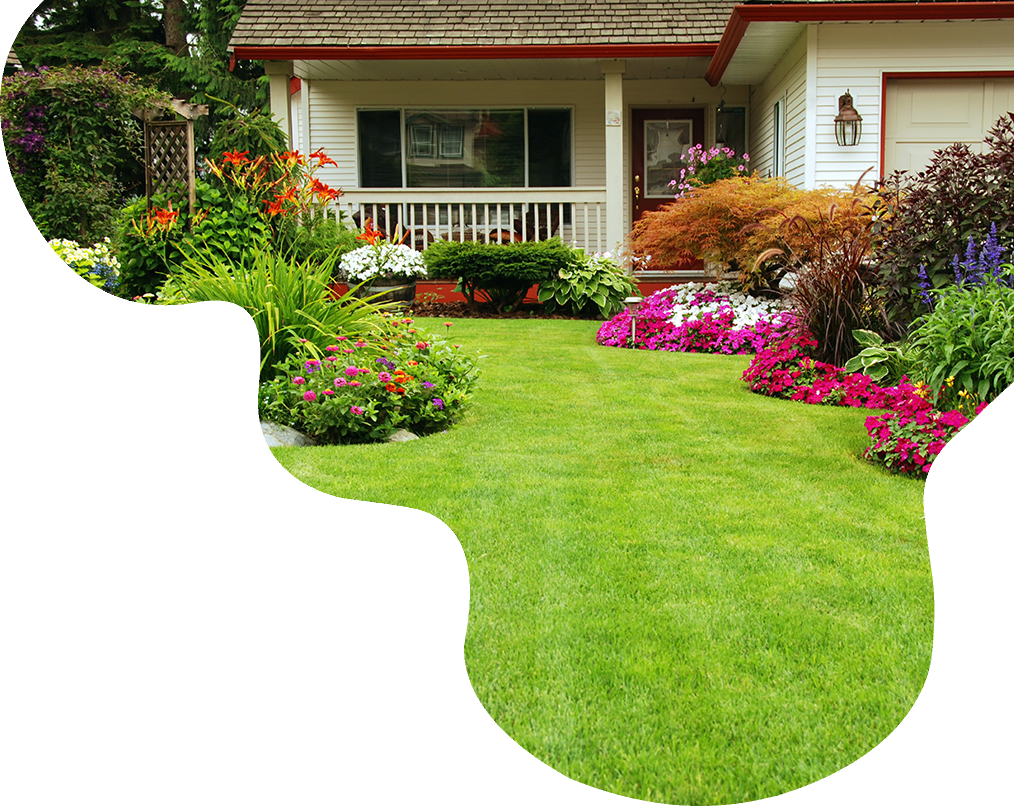 Clover Landscaping, Cape Cod Landscaping Services Guishan District Taoyuan City