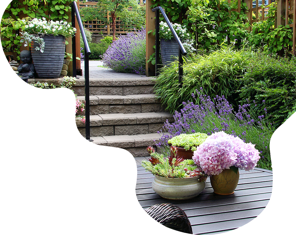 Clover Landscaping