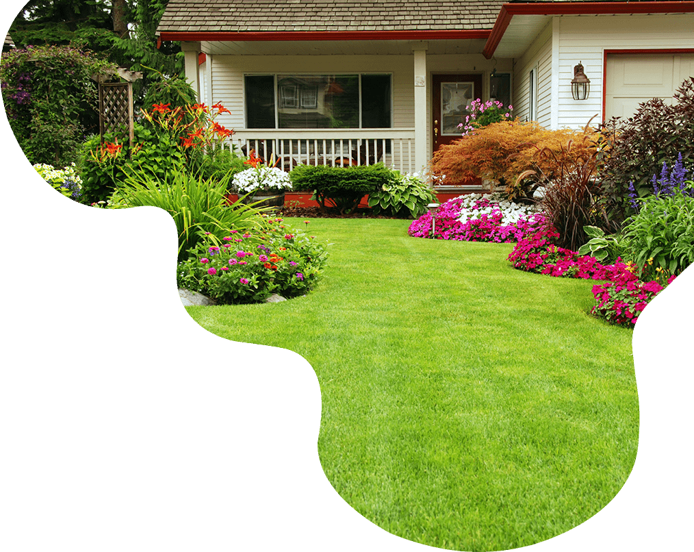 Clover Landscaping